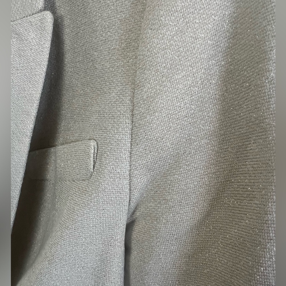 Zara Blazer - Picture 4 of 5
